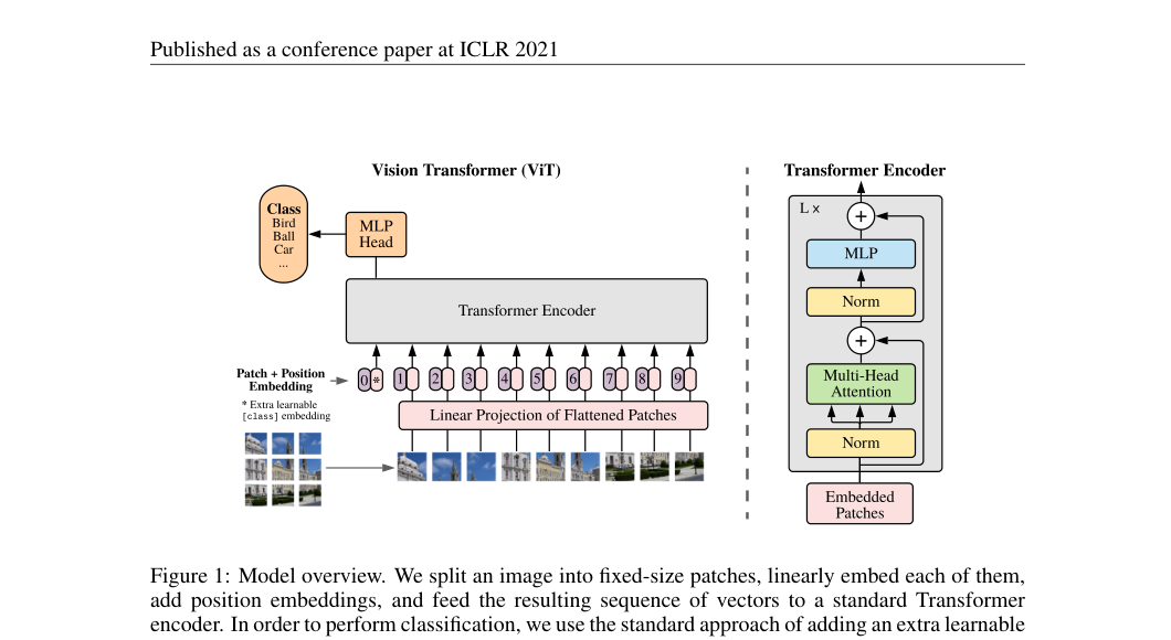 ViT 原论文图示，展示图像切成 patch、线性投影、加入位置编码并送入 Transformer Encoder