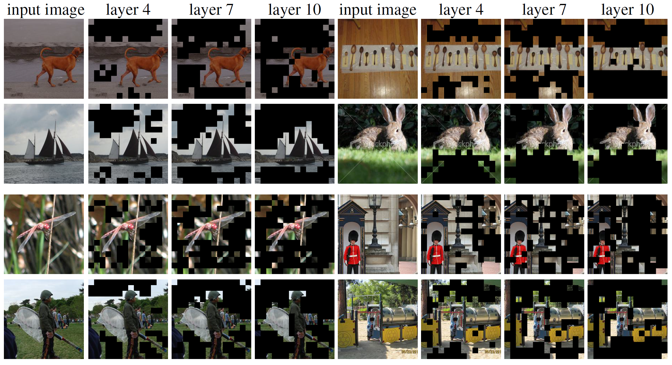 EViT 官方可视化：不同图片在第 4、7、10 层逐渐减少独立保留的 patch，主体区域通常保留得更多