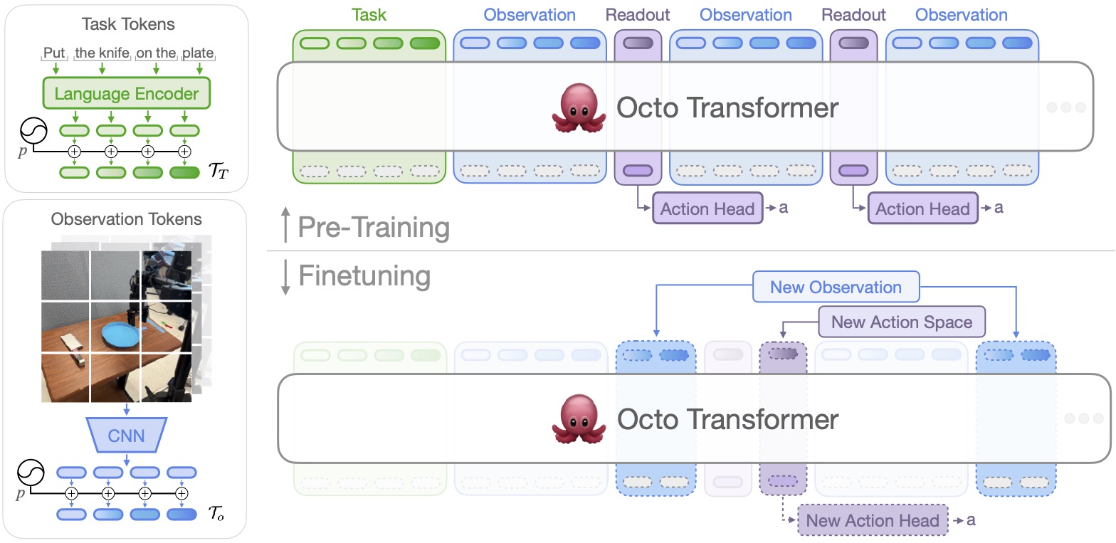 Octo 官方架构：任务与观测 token 进入 Transformer，readout token 连接动作头，微调时可以适配新的观测和动作空间