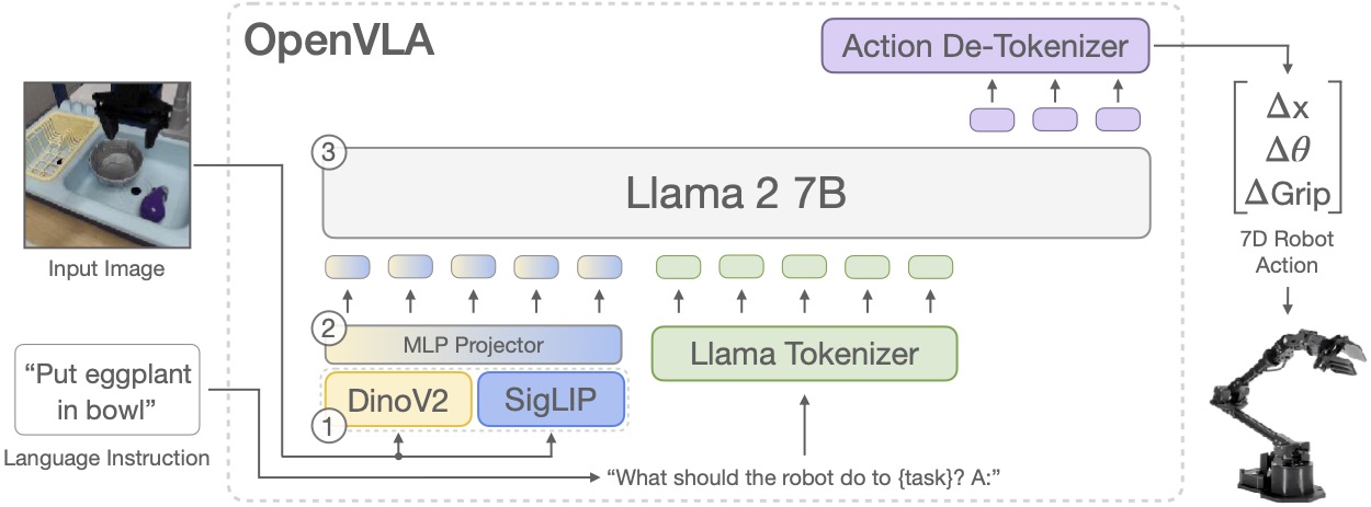 OpenVLA 官方架构：图像经过 DINOv2、SigLIP 和 MLP 投影，与语言指令一起输入 Llama 2，输出动作 token 并解码成七维机器人动作