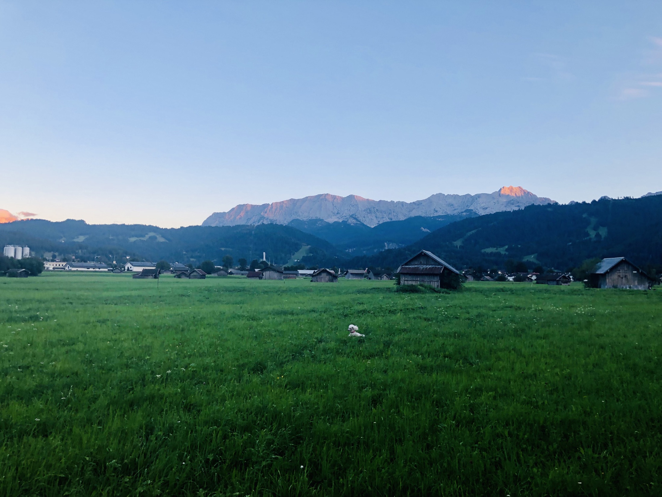 暮色中的阿尔卑斯山草原、木屋与远山